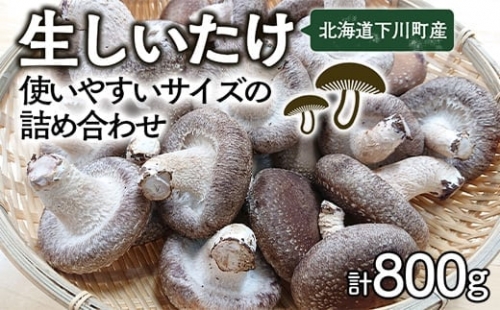 生しいたけ800g Mサイズ(100g×4パック) Lサイズ(200g×2パック) 軸太 肉厚 椎茸 シイタケ 野菜 やさい 故郷 ふるさと 納税 国産 北海道産 北海道 下川町 F4G-0013