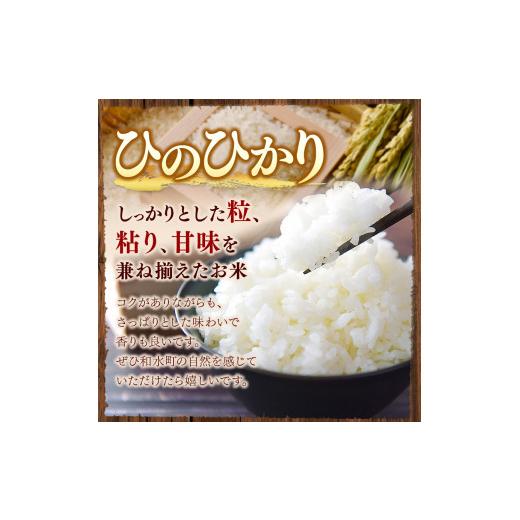 ふるさと納税 熊本県 和水町  熊本県産 ひのひかり 無洗米 10kg