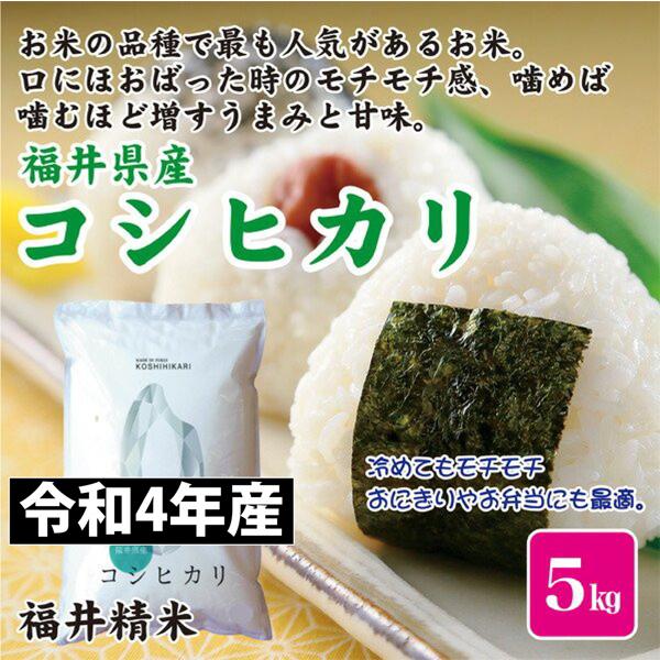 お米 米 新米 令和5年産 ５kg 福井県産 コシヒカリ こしひかり 福井精米