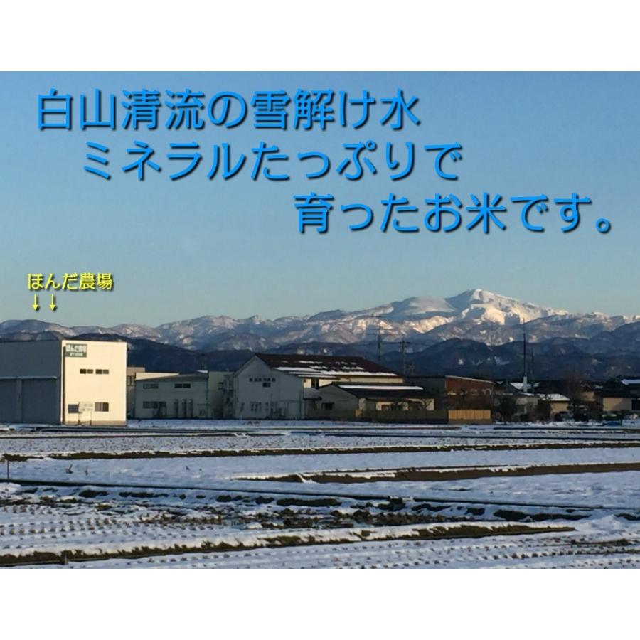 令和5年産 新米 無農薬 有機米 コシヒカリ 白米 5ｋｇ 水の精 JAS認定 自然農法