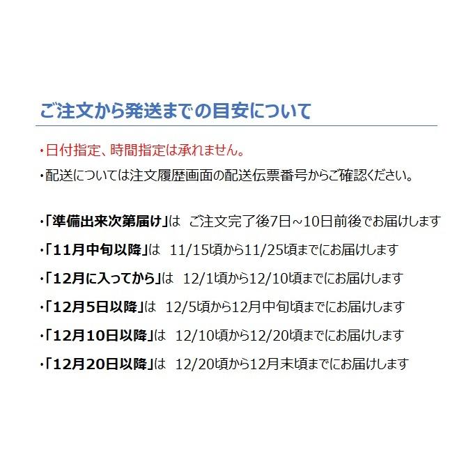 三越伊勢丹 お歳暮 島原手延即席麺詰合せ