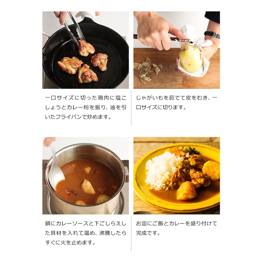 ［ BALMUDA The Curry ］ バルミューダ ザ・カレー レトルトカレー 本格 辛口 2食セット デリー カレー レトルト カレールー カレーライス スパイスカレー