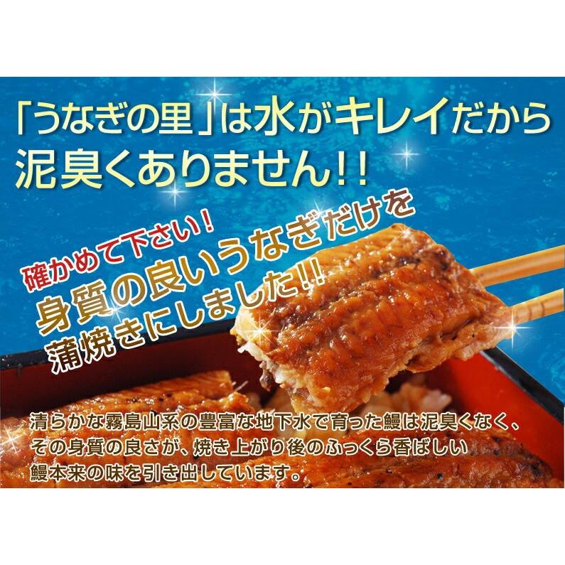 うなぎ 蒲焼き 国産　超特大蒲焼き(215g以上)1本　鹿児島産 グルメ クール