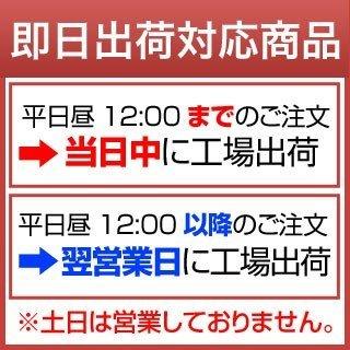 新米 令和5年(2023年) 産 新潟県の新ブランド 新之助 白米 2kg