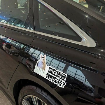 掃貨趁現在 手慢無⚡貓咪Meme反光貼紙 搞笑惡搞迷因車貼 汽車機車防水裝飾貼紙 安全帽外送箱警示貼 哭泣貓 Huh貓
