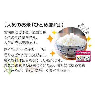 ふるさと納税 登米市 栽培期間中農薬・化学肥料節減米「ひとめぼれ」精米20キロ(5kg×4袋)