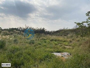 新竹香山青青草原｜稀有【臨路】農牧用地－１｜新竹市新竹市師院段