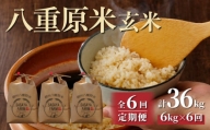 八重原米6kg（2kg×3袋）玄米