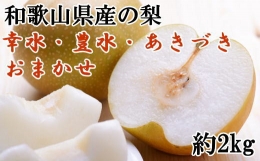 和歌山県産の梨約2kg(品種おまかせ)　※2024年8月中旬～2024年10月上旬頃に順次発送予定　※着日指定不可