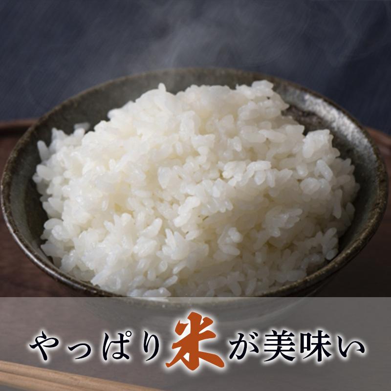 米 10kg 5kg×2袋 無洗米 ひのひかり 熊本産 令和4年産 精米 うるち 白米 お米 ご飯