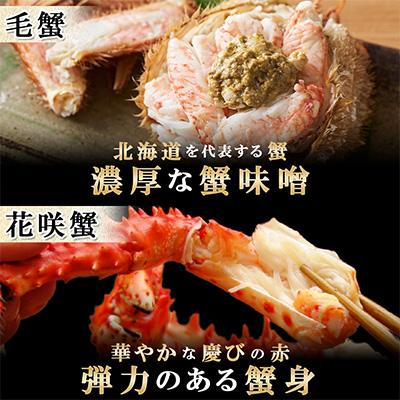 ふるさと納税 弟子屈町 四大蟹 タラバ足 ズワイ足 毛蟹 花咲蟹 セット 蟹ハサミ・ガイド付 北海道 弟子屈町 2120