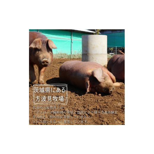 ふるさと納税 茨城県 鉾田市 鉾田ハムバラエティセット 放牧デュロック純粋種「やまの華豚」使用