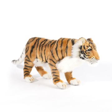 Hansa 5151-波斯虎 38公分