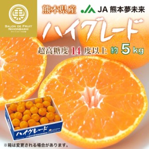 [予約 12月1日-12月20日の納品] ハイグレード 約5kg 熊本県産 JA熊本市夢未来 糖度14度以上 高糖度 産地箱 冬ギフト お歳暮 御歳暮