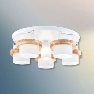 北歐風吸頂五燈 B69-81-24383