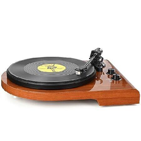 Record Player Turntable with Double Bluetooth Connectivity and Build in Preamp,AT-3600L Cartridge,Vinyl Player with USB Recording,Pitch Speed 並行輸入