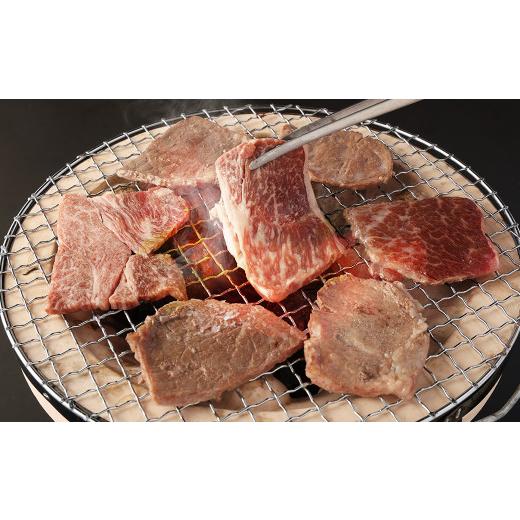 ふるさと納税 福岡県 柳川市 豊作ファーム産 黒毛和牛 焼肉 2部位 セット 600g 赤身 霜降り