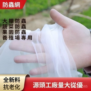 🔥【桃園倉庫現款】🔥40目紗網 40目防蟲網 60目紗網 農用防蟲網 蔬菜防蟲網 防蟲網 防蟲紗網 60目白色尼龍網