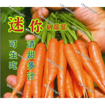 現貨 迷你胡蘿蔔種子(500粒） 水果蘿蔔種子可生吃四季陽台庭院盆栽種植 超甜兒童水果種子 手指蘿蔔種子 高產蔬菜種子