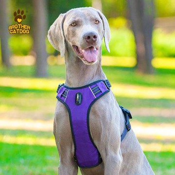 新款寵物牽引繩寵物用品狗狗用品防爆沖純色夜間反光條寵物胸背帶