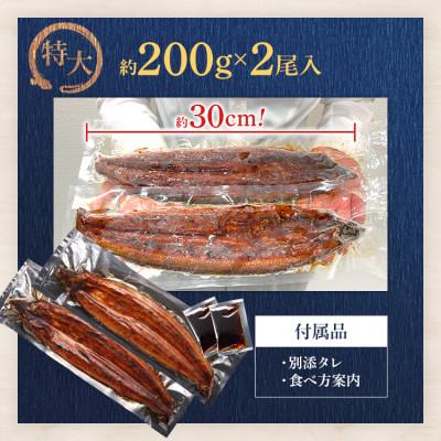 ふるさと納税 田川市 うなぎ蒲焼き 約200g×2尾(田川市)