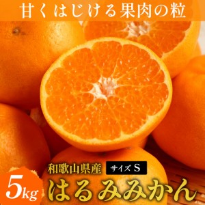 はるみみかん 5kg Sサイズ 一場にほとんど出回らない貴重な柑橘 和歌山 みかん 蜜柑 新鮮 ビタミン 果物