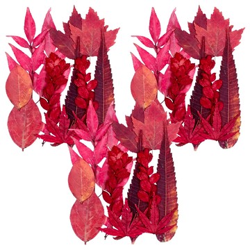 A-ONE 匯旺 Set 天然植物壓花 14.5 x 10.5 CM  丹楓迎秋