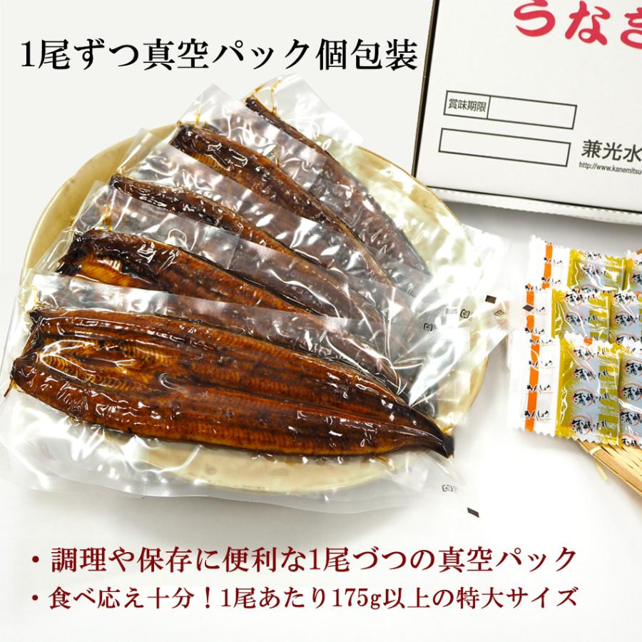 国産 愛知県産 うなぎ 蒲焼 無頭 特大 サイズ 175g以上 1kg 5尾〜6尾 タレ・山椒付き うなぎの兼光 のし対応可 70代 80代