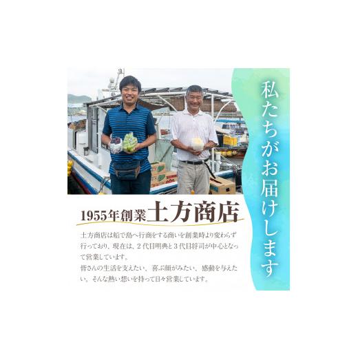 ふるさと納税 岡山県 備前市 岡山県産シャインマスカット「晴王」定期便　秀品　大房（約5kg・5〜9房目安）×10回発送（…