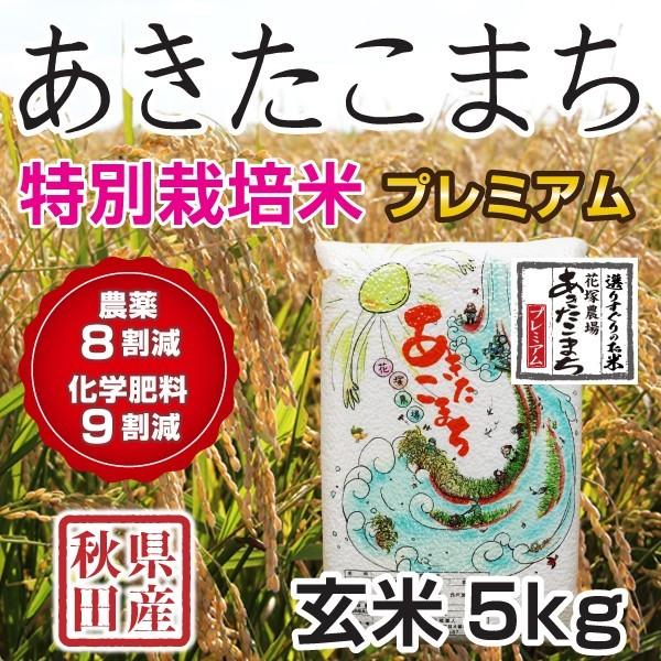 玄米 令和5年産新米 秋田県産 あきたこまち 特別栽培プレミアム 5kg 農薬8割減 化学肥料9割減 慣行栽培比 農家直送