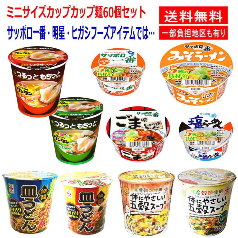  東洋水産 日清食品 サンヨー食品 ヒガシフーズ エースコック 東京拉〓 おやつカンパニー カップ麺ミニサイズ 大集合 60食 おまけ付 関東圏送料無料