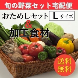 お試し旬の野菜＆加工食材：詰合せセット「３～５人向き」宅配サービス