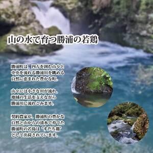 ふるさと納税 阿波すだち鶏 ヘルシーセット（むね肉・ささみ 各2kg） 徳島県勝浦町