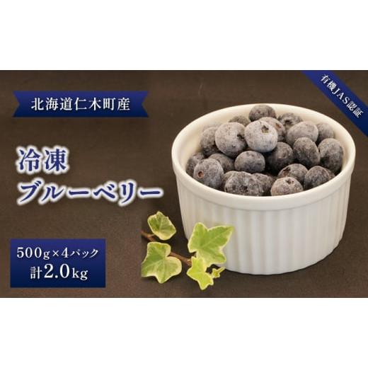 ふるさと納税 北海道 仁木町 北海道仁木町産オーガニック冷凍ブルーベリー 500g×4パック　計2.0kg