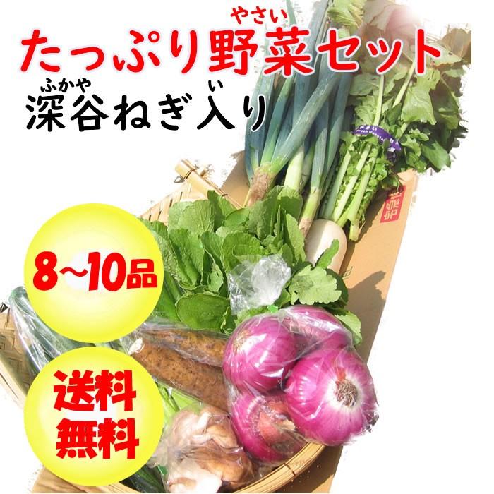 深谷ねぎ入り・たっぷり新鮮野菜セット 8〜10品目