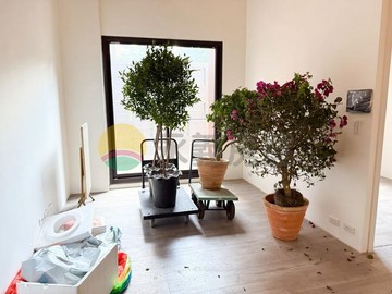 #東海｜允將青曦｜三房雙平車‧全新完工｜台中市大肚區遊園路二段