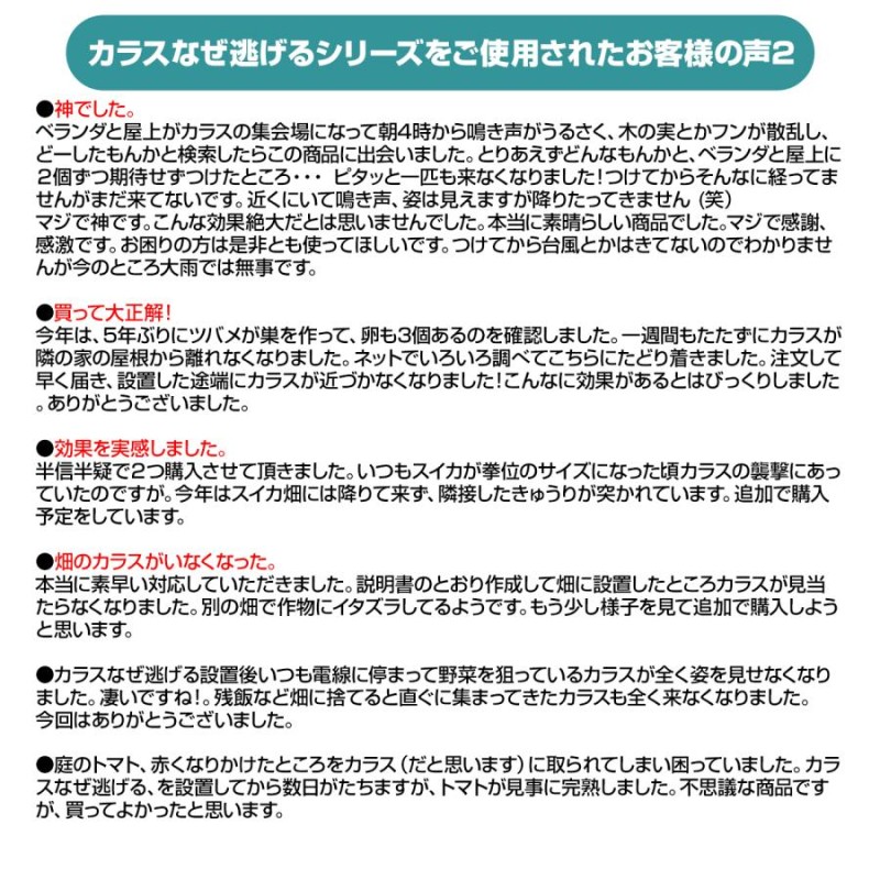 カラスなぜ逃げる 標準タイプ 撃退率95%以上 カラス撃退 カラス対策