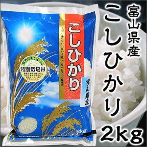 米 日本米 Aランク 令和4年度産 富山県産 こしひかり 2kg