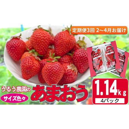 ふるさと納税 定期便 3回 いちご 発送時期 2024年2月〜4月 うるう農園のあまおう サイズ色々 4パック 約1.14kg 配送不可 離島 福岡県朝倉市