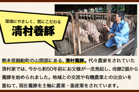 上ロースしゃぶしゃぶ 600g 清村養豚《60日以内に順次出荷(土日祝除く)》 豚 ロース しゃぶしゃぶ 冷しゃぶ 野菜炒め 清豚 冷凍 小分け 熊本県御船町