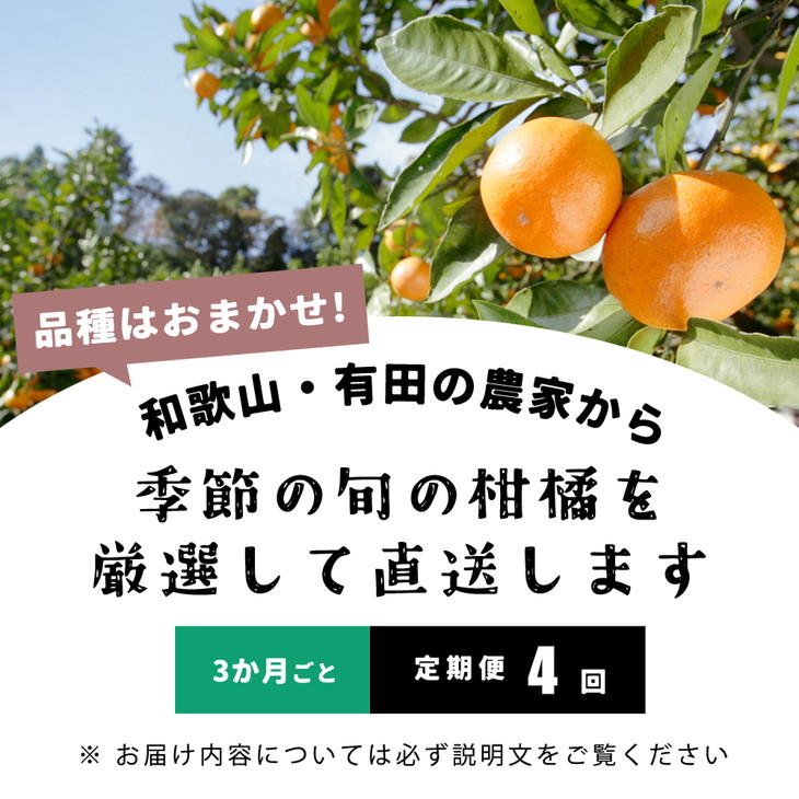 厳選・和歌山の季節の柑橘5kg農家直送フルーツ定期便 ※北海道・沖縄・離島への配送不可