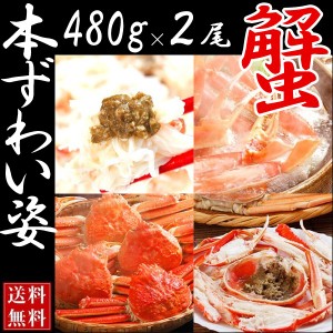 ズワイガニ特大(姿　冷凍　北海道産　ボイル)480g×2尾(1kg)送料無料