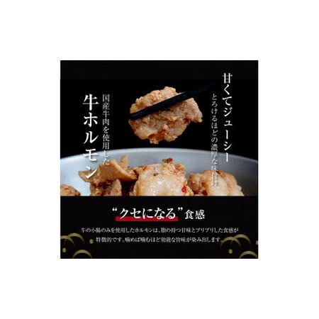 ふるさと納税 国産牛ホルモンタレ漬け500g＜高知市共通返礼品＞ 高知県芸西村