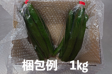 新鮮きゅうり1kg