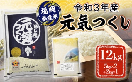 米 12kg 令和5年産 元気つくし 福岡県産 お米