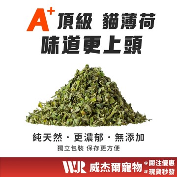 【威杰爾】A級貓薄荷 貓薄荷頂葉 貓草 貓薄荷 貓咪玩具 貓咪排毛球 天然貓草 貓咪潔牙 貓咪紓壓 貓玩具【B044】
