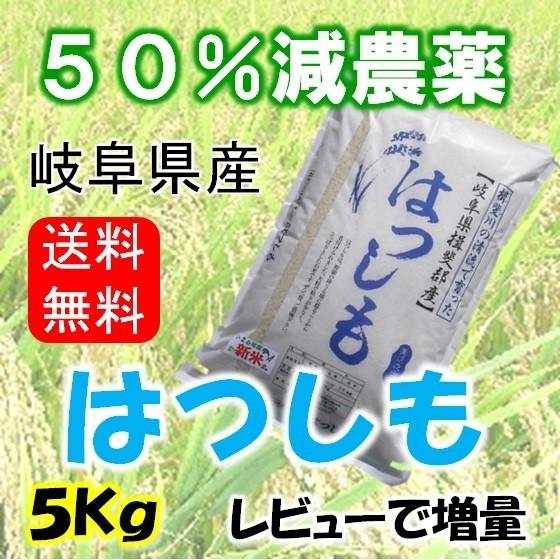 令和５年産 特別栽培米 岐阜県産 ハツシモ 玄米５Kg（レビューで増量） 北海道・沖縄・離島は追加送料