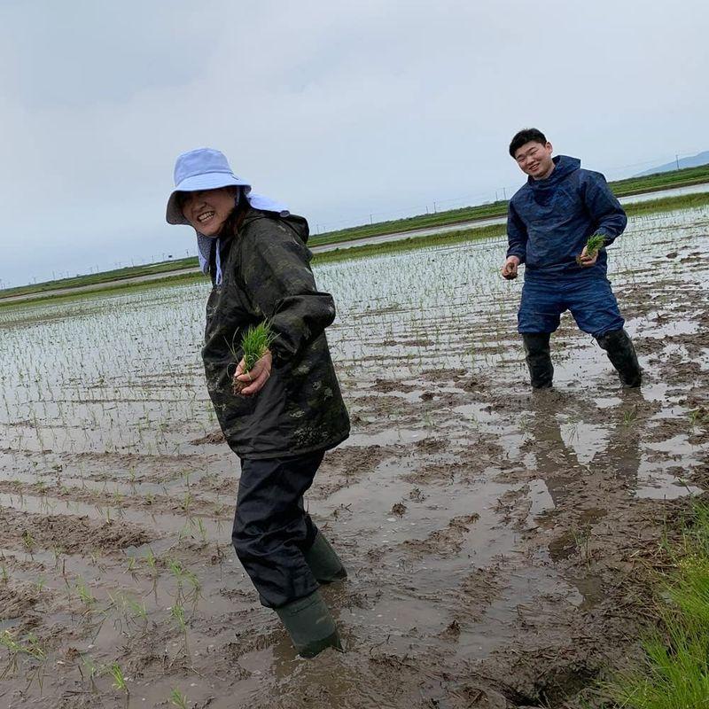 水菜土農園精米令和4年産 秋田県産 あきたこまち 15kg (5kg×3袋) 古代米お試し袋付き