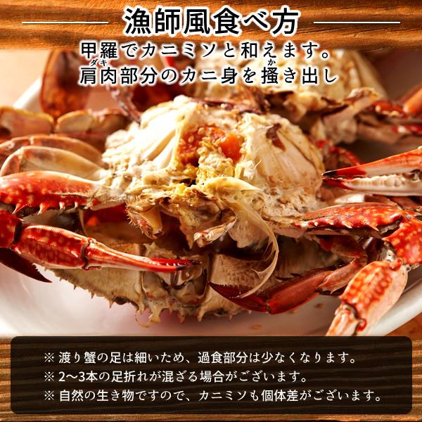 ワタリガニ直売 活〆 有明海 生 渡り蟹 約350g(S)×2尾 わたりがに 熊本県上天草市 旬 活締め冷凍 ボイルして本格パスタに［お歳暮 2023 ギフト 御歳暮］