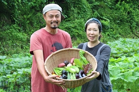 新鮮お野菜ボックス（京都・京丹波町産）≪栽培期間中農薬不使用の安心安全こだわり野菜≫[010SN001]